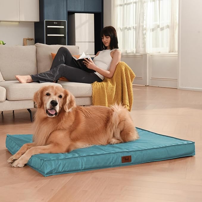 Tail Stories Outdoor Orthopedic Dog Bed, Waterproof Dog Bed for Large Dogs 36x27 Inch, Egg Crate Foam Pet Mat with Washable Removable Oxford Cooling Cover, Light Blue