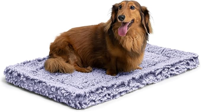 PELZIN Stoutwool Indestructible Dog Bed - Fluffy Chew Proof Dog Crate Pad - Tough Kennel Pad for Aggressive Chewers - Washable, Ideal for Small Breeds & Fits 24-Inch Crate - 23"x16", Jacaranda