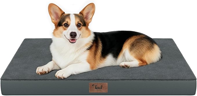 Tail Stories Orthopedic Dog Bed for Large Dogs, Plush Washable Pet Bed for Large Size Dogs with Egg Crate Foam & Removable Oxford Cover, 36x27 Inch, Gray