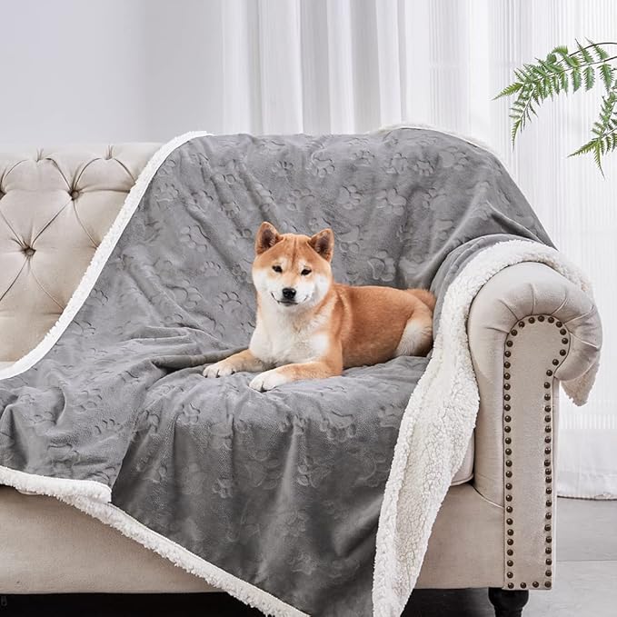 Qeils Dog Blankets for Small Dogs - Waterproof Cat Blanket Washable - Sherpa Fleece Puppy Blanket, Soft Plush Reversible Throw Protector for Bed Couch Car Sofa, 40"X50", Grey