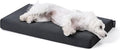 PELZIN Cybarmour Chew Proof Dog Bed - Orthopedic Indestructible Dog Crate Pad - Outdoor Waterproof Kennel Mat for Aggressive Chewers - Small Breeds & Fits 24-Inch Crate - 23"x16", Black
