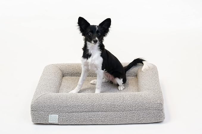 Bluewater Dog Luxury Boucle Orthopedic Memory Foam Dog Bed with Waterproof Liner and Machine Washable Cover with YKK Zippers (Small, 29" L x 23" W x 6" Th, Sand)