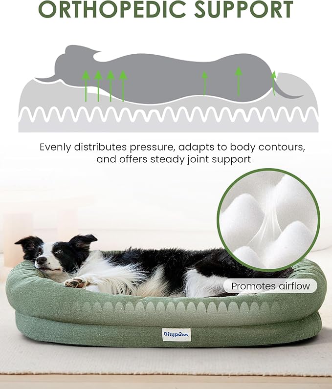 bilypaws Orthopedic Dog Bed for Small Dogs, Pet Sofa Bed with Egg Crate Foam, 4-Sided Bolster, Removable Washable Cover & Anti-Slip Bottom, Small Calliste Green
