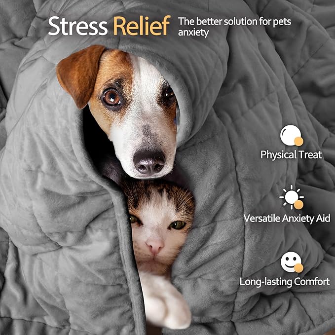 LaSyL Weighted Blanket for Pets | Thunder Blanket for Dogs Anxiety | Premium Soft Minky | Relaxation & Calming & Anti Anxiety | Used in Car, Bed, Couch | Dark Grey, Washable Large 40" L x 47" W