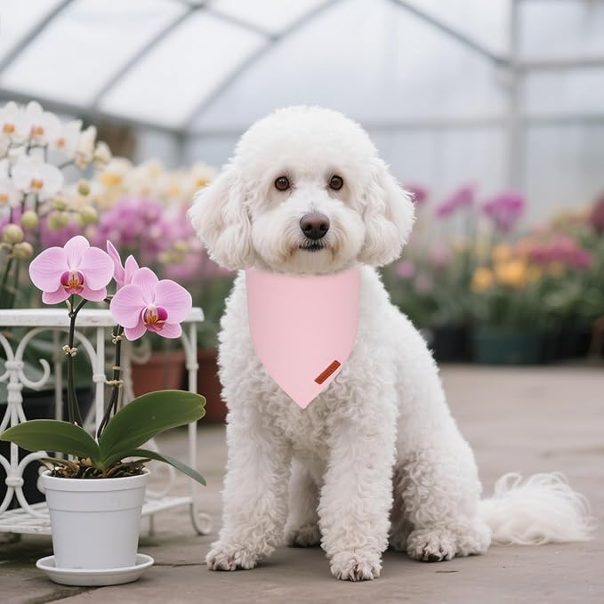 ADOGGYGO 2 Pack Pink Dog Bandanas, Soft Cotton Solid Color Pet Triangle Scarf, Adjustable DIY Pink Girl Birthday Bandanas for Small Dogs (Small)
