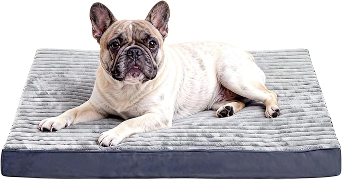 Small Dog Bed Sized Dogs, Orthopedic Flannel Pet Bed with Removable Washable Cover, Waterproof Indestructible Puppy Dog Cot Bed with Anti-Slip Bottom, Egg Crate Memory Foam Pad, 23.0"x17.0"x3.0", Grey