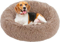 NEWBULIG 37.4x37.4 Inch Dog Bed Large Sized Dog, Donut Shape Cat Beds for Indoor Cats with Washable, Anti-Slip, Faux Fur