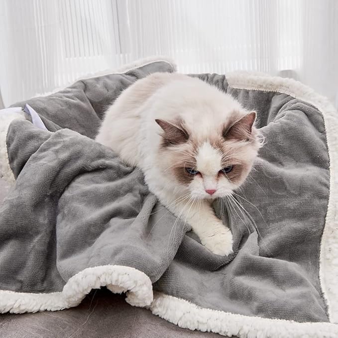 Qeils 1 Pack 4 Dog Blankets for Small Dogs - 4 pcs Waterproof Dog Blanket Washable - Soft Sherpa Fleece Puppy Blanket for Kitten Doggy, Warm Cat Blankets for Indoor Cats, 25"X30", Grey