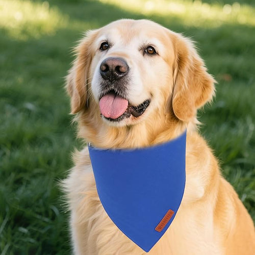 ADOGGYGO 2 Pack Blue Dog Bandanas, Soft Cotton Solid Color Pet Triangle Scarf, Adjustable DIY Blue Boy Birthday Bandanas for Medium Large Dogs (Large)