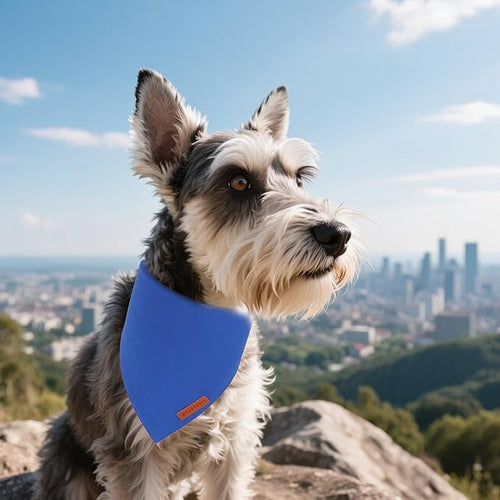 ADOGGYGO 2 Pack Blue Dog Bandanas, Soft Cotton Solid Color Pet Triangle Scarf, Adjustable DIY Blue Boy Birthday Bandanas for Small Dogs (Small)