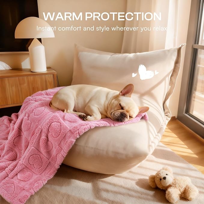 Luciphia 1 Pack 2 Small Dog Blanket Washable Pet Bed Cover Soft Fluffy Puppy Blanket with Premium Fleece 300GSM Cozy Calming Cat Blankets for Indoor Cats Pink 30x20 inch