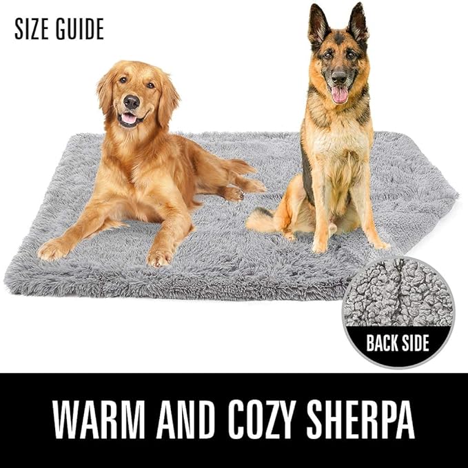 LOCHAS Luxury Fluffy Dog Blanket, Extra Soft and Warm Sherpa Fleece Pet Blankets for Dogs Cats, Plush Furry Faux Fur Puppy Throw Cover, 40''x60'' Grey