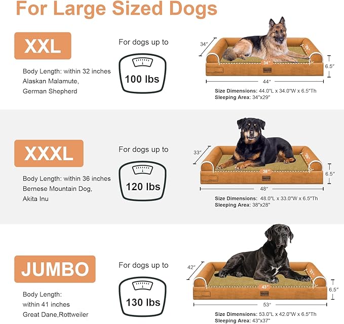 Large Dog Bed Orthopedic Washable: Beds Bolster XXL Bed Big XLarge Dogs Egg Crate Foam Sofa Couch Waterproof Removable Cover - Orange