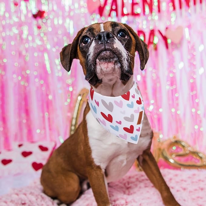 PTDECOR Valentine Dog Bandana, Reversible Holiday Dog Scarf, Multi Size Offered, Heart Valentine Bandanas for Medium Large Dogs Pets (Large)