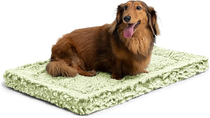 PELZIN Stoutwool Indestructible Dog Bed - Fluffy Chew Proof Dog Crate Pad - Tough Kennel Pad for Aggressive Chewers - Washable, Ideal for Small Breeds & Fits 24-Inch Crate - 23"x16", Gleam