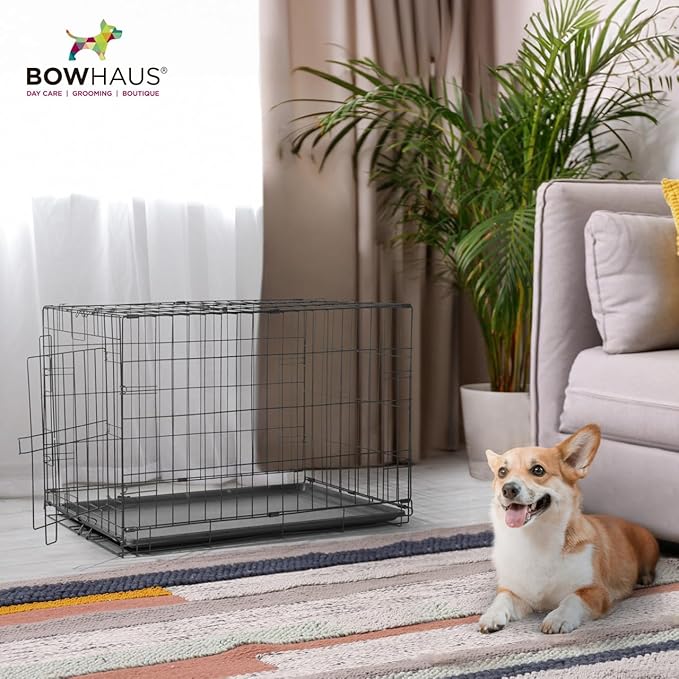 BOWHAUS 28.9-Inch Dog Crate Pan Replacement, Sturdy, Waterproof Plastic Tray for 30-Inch Pet, Rabbit Ferret Critter Kennels, Versatile Pan and Easy to Clean