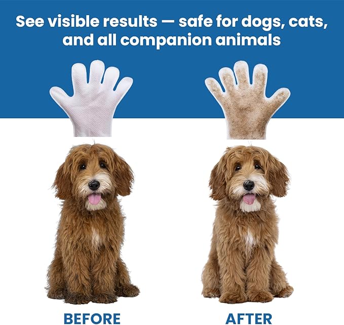 FPN Pet Cleaning Gloves for Dogs & Cats – 10 Count, Unscented No-Rinse Grooming Wipes in Extra-Thick Double-Sided Cleaning Mitts with Coconut Oil, Witch Hazel & Grapefruit – Paw, Fur & Face Cleaning