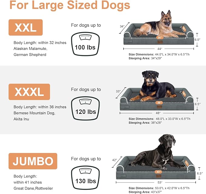 Large Dog Bed Orthopedic Washable: Beds Bolster XL Bed Large Big Dogs Memory Foam Couch Sofa Waterproof with Removable Cover - Dark Grey
