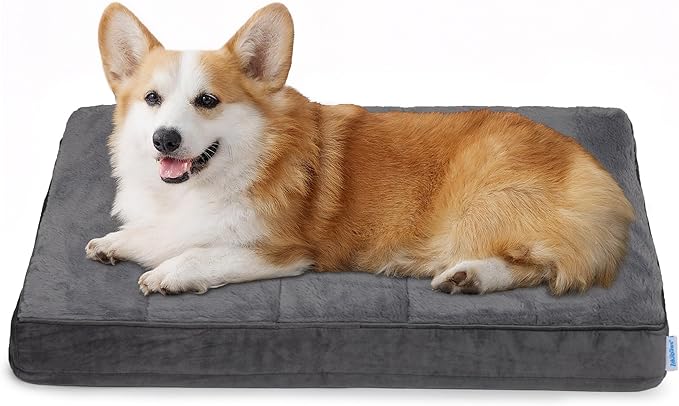 ZAKAPAWS Dog Bed for Medium Dog - Orthopedic Pet Beds with Memory Foam, Waterproof Removable Washable Cover with Non-Slip Bottom, Grey, 30" L x 20" W x 3" H