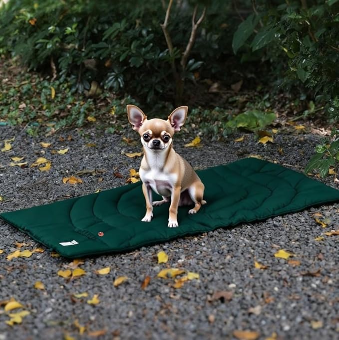 Travel Dog Bed | Camping Dog Bed | 37.4"x25.6" Waterproof Outdoor Dog Mat | Portable Place Mat for Dogs with Handle | Machine Washable | Easy Clean for Outdoor Adventures (Yellow)