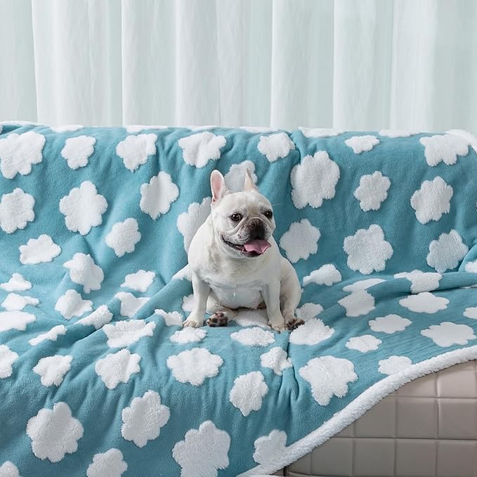 Maidewow Waterproof Pet Blanket,Dog Bed Covers Small Throw for Puppy Cats Stylish Jacquard Pets Couch Sofa Furniture Protection Washable Reversible Covers (Blue Cloud,XS)