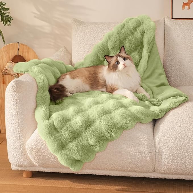 SOMAHE Self-Warming Cat Blanket for Indoor Cats & Small Dogs, Dual-Side Sherpa Plush Throw, Anti-Static Shared Couch Mat for Crate & Travel, Machine Washable No Shrink, 28x22 Inch Green