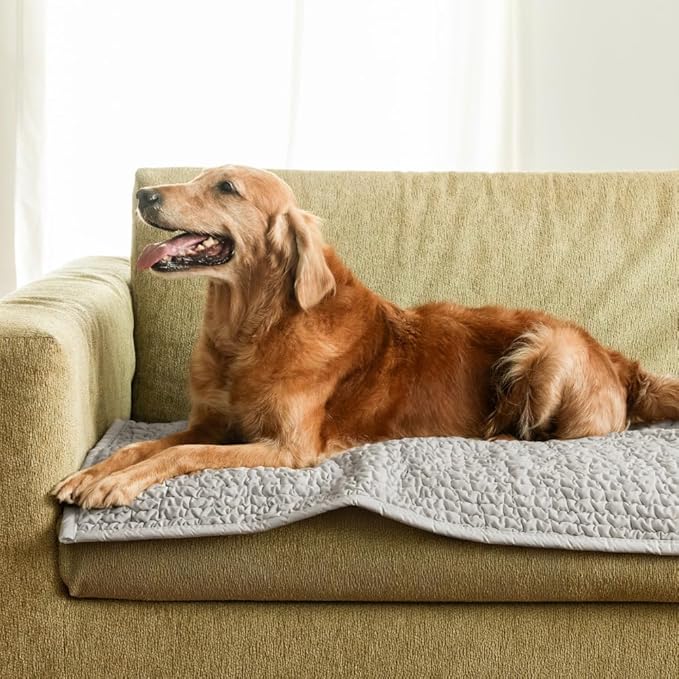 PAULATO BY GA.I.CO. Waterproof Blanket – 24x86” Changing Absorbent Pad for Incontinence – Machine Washable Stain-Resistant Protector for Couch Sofa or Bed – Reusable Waterproof Cover - Light Grey