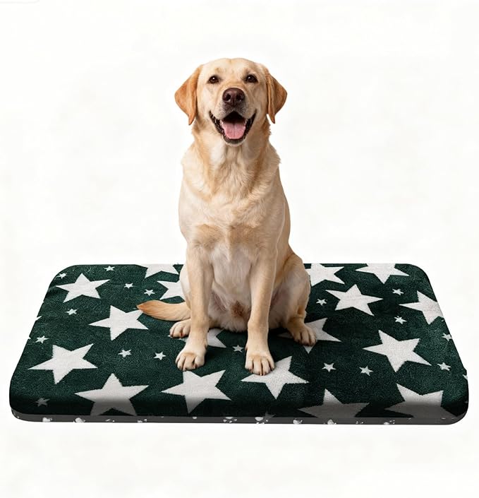 Wittop Washable Dog Bed Plush Orthopedic Outdoor Crate Mat with Non-Slip Bottom,Luxe Soft Kennel Pad for Pets, Cozy Cage Cushion & Pet Sleeping Mattress Large Sized,Medium,Small Dogs,36x24 inch,Green
