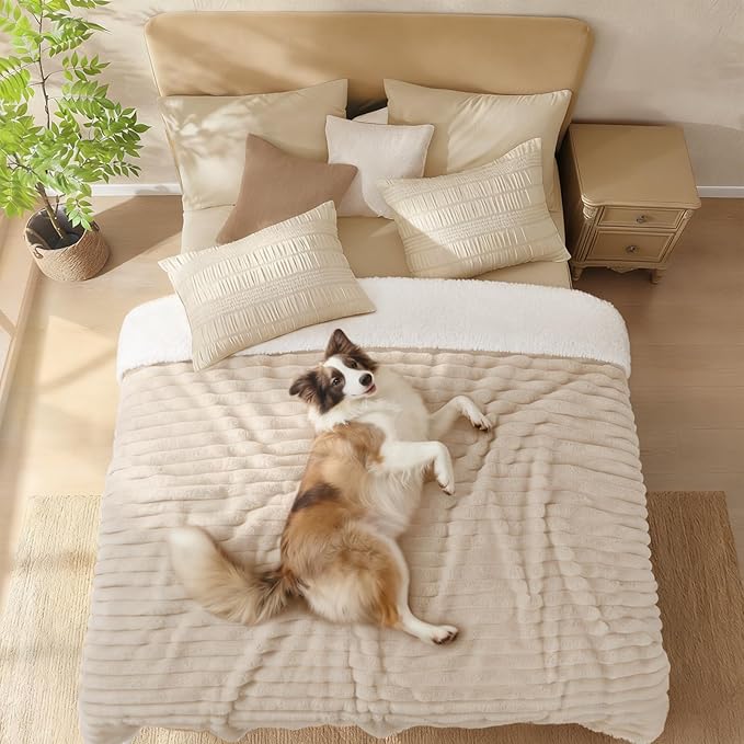 Luciphia Waterproof Dog Blanket for Small Puppy Ultra-Soft Calming Cut Pile Flannel Throw Durable & Warm Furniture Protection for Couch Car Pet Cat Blanket Machine Washable Soft White,S(40''x28'')