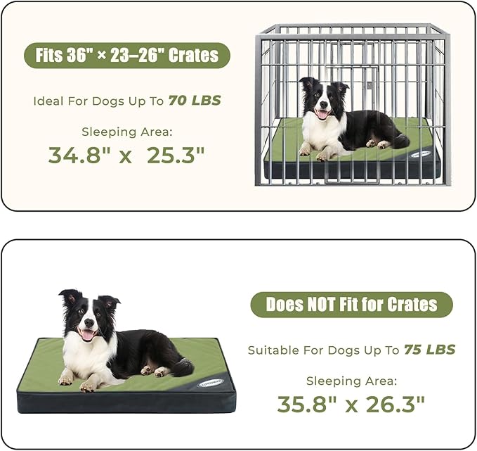 OUPEIWAWA Orthopedic Outdoor Waterproof Dog Beds for Medium Dogs, Washable Pet Bed with Egg Crate Foam Pet Bed Mat for Crate and Removable Oxford Fabric Cover,36"x 26", Dark Green
