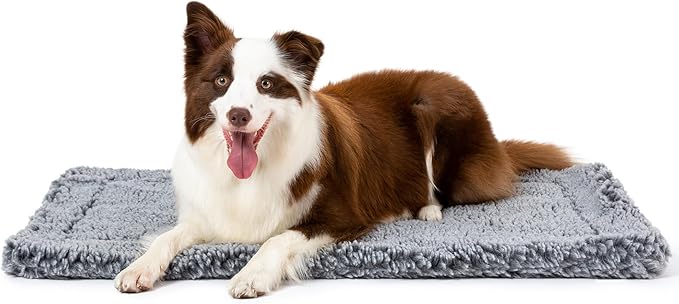 PELZIN Stoutwool Indestructible Dog Bed - Fluffy Chew Proof Dog Crate Pad - Tough Kennel Pad for Aggressive Chewers - Washable, Ideal for Large Breeds & Fits 36-Inch Crate - 35"x22", Charcoal