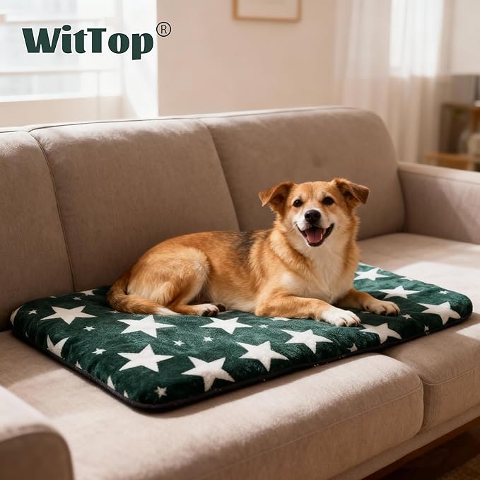 Wittop Washable Dog Bed Plush Orthopedic Outdoor Crate Mat with Non-Slip Bottom,Luxe Soft Kennel Pad for Pets, Cozy Cage Cushion & Pet Sleeping Mattress Large Sized,Medium,Small Dogs,36x24 inch,Green