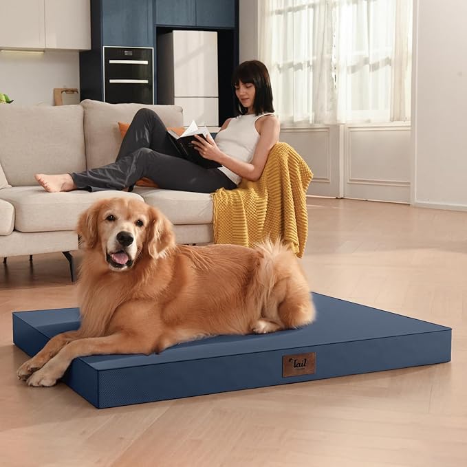 Tail Stories Outdoor Waterproof Dog Bed, Orthopedic Dog Bed for Medium Dogs 30x20 Inch, Egg Crate Foam Pet Bed with Washable Removable Oxford Cooling Cover, Navy