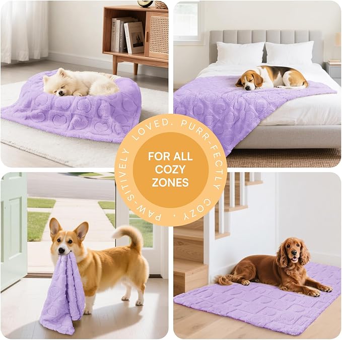Luciphia Small Dog Blanket Washable Pet Bed Cover Soft Fluffy Puppy Blanket with Premium Fleece 300GSM Cozy Calming Cat Blankets for Indoor Cats Light Purple 41x31 inch
