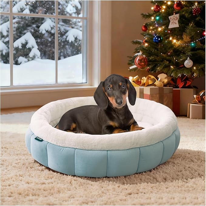 BALANCE Cat Beds for Indoor Cats, Washable Round Dog Bed, Donut Dog Bed with Anti-Slip Bottom for Small Dogs, 28 Inches, Dream Blue
