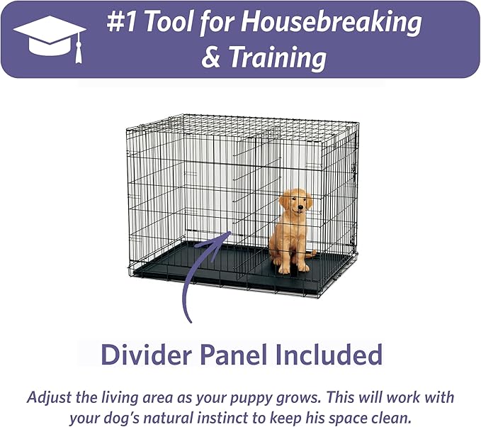 MidWest Homes for Pets 48-Inch iCrate Folding Dog Crate with Divider Panel, Leak-Proof Tray & Secure Latches – Metal Wire Kennel for XL Breeds – Portable, Durable & Easy to Assemble