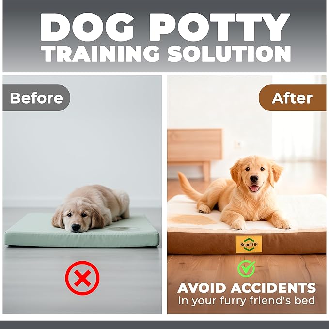 Medium Dog Bed Orthopedic | Cama para Perros | Crate Dog Bed Washable | pet beds for Medium Dogs | Puppy beds | Camas para Perros | Pet BeDs for Small Dogs