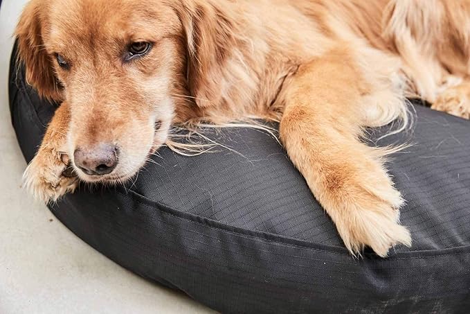 K9 Ballistics Tough Round Nesting Pillow Dog Bed - Removable Cover, Washable, Durable & Water Resistant Indoor/Outdoor Bed - Medium, Blue Quartz