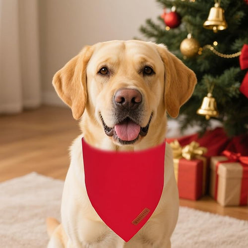 ADOGGYGO 2 Pack Red Green Dog Bandanas, Soft Cotton Solid Color Pet Triangle Scarf, Adjustable DIY Christmas Bandanas for Medium Large Dogs (Large)