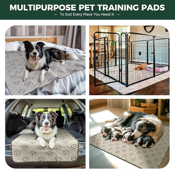 FXW Washable Pee Pads for Dogs, Leak-Proof & Non-Slip, Specifically Designed for Potty Training, 39" Square, Khaki, 1 Pack