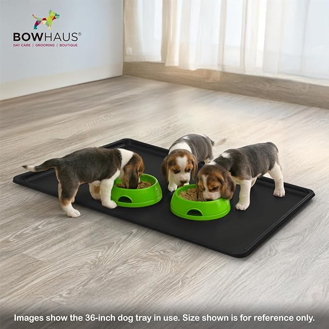 BOWHAUS 22.7-Inch Dog Crate Pan Replacement, Sturdy, Waterproof Plastic Tray for 24-Inch Pet, Rabbit Ferret Critter Kennels, Versatile Pan and Easy to Clean