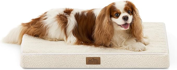 COZY KISS Dog Crate Bed for Small Size Dogs, Rectangular Orthopedic Cat Beds, Foam Anti-Slip Bottom Pet Mat with Washable Removable Cover, Suitable for Pet Up to 30 lbs, 24x16x3 inch, Beige