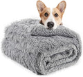 LOCHAS Luxury Fluffy Dog Blanket, Extra Soft and Warm Sherpa Fleece Pet Blankets for Dogs Cats, Plush Furry Faux Fur Puppy Throw Cover, 40''x60'' Grey