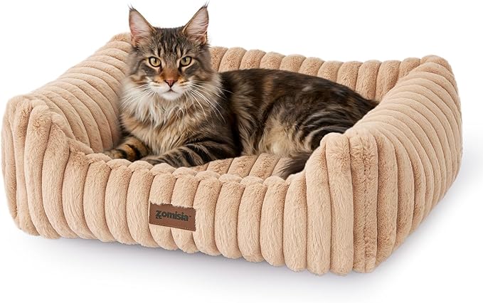 ZOMISIA Large Cat Beds - Orthopedic Dog Bed for Medium Dogs, Rectangle Pet Bed with Fluffy Removable Washable Cover, 25x21x9inches, Beige