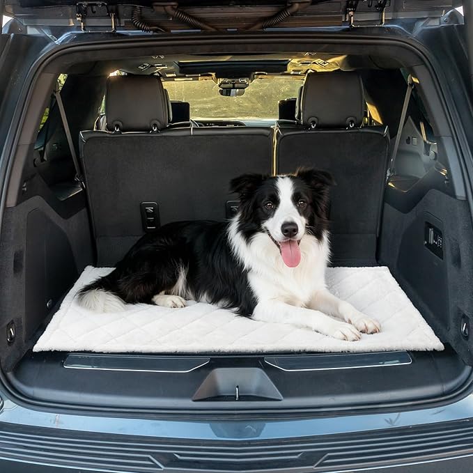 Sanqitara Backseat Pet Bed Mat, Truck Plaid Dog Bed for Car Back Seat, Deluxe Dog Seat Covers, Non-Slip Travel Pet Mat, Fit for Backseat Extenders and Trucks SUV