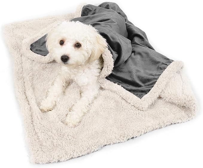 Kritter Planet Dog Blankets for Small Dogs, Soft Puppy Blanket, Pet Blankets for Cats, Lightweight & Washable, Perfect for Dog Beds, Car Seats, Creat, 30x40 inches