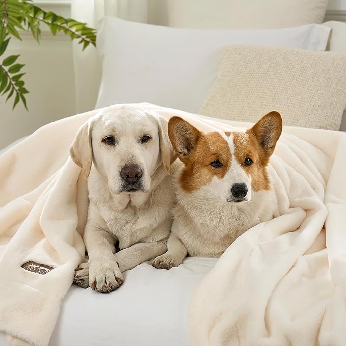 COZY KISS Faux Fur Throw Blanket for Couch, Ultra Soft Waterproof Pet Blanket, Cozy Warm Plush Blanket for Sofa Bedroom Living Room, Liquid Pee Proof for Large Dog or Cat, 50x60 inch, Beige