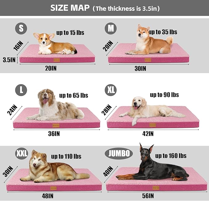 Patas Lague Orthopedic Dog Bed for Small Dogs 20''X15'', Soft Waterproof Egg Crate Foam Small Pet Crate Beds Mat with Removable Washable Cover and Non-Slip Bottom, Hot Pink