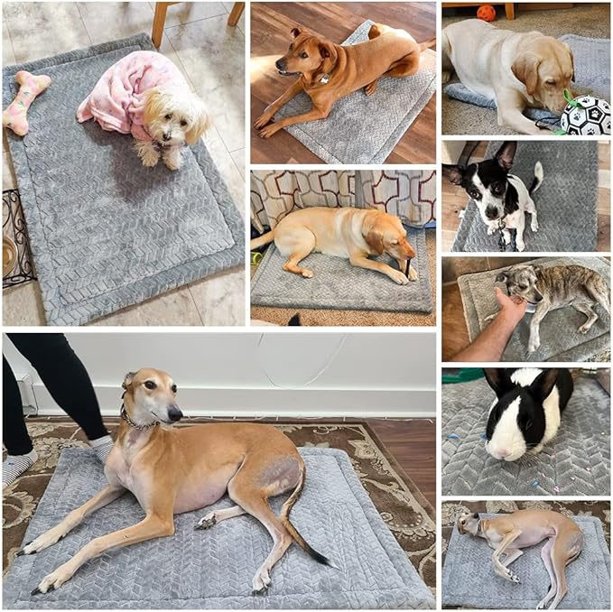 BEAUTYZOO Dog Bed Crate Pad 48 x 30 inch, Washable Dog Crate Mat for XX-Large Sized Dogs, Anti-Slip Pet Crate Bed Kennel Pad, Durable Cozy Puppy Sleeping Mat Rectangle Mattress, Grey