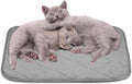 NWK Fluffy Self Warming Cat Mat, Cat Blanket, Thermal Dog Mat, Washable, Non-Slip Bottom for Sofa & Crate & Kennel & Car Seat (Misty Gray, Medium (28'' X 19'' X 0.4''))